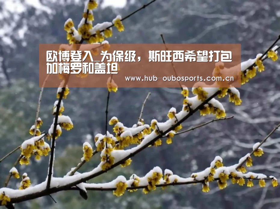 欧博登入_为保级,斯旺西希望打包加梅罗和盖坦(图1) net欧博官网