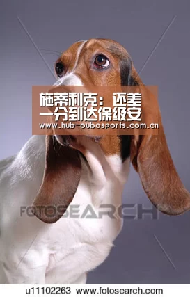 施蒂利克:还差一分到达保级安全线 期待踢上港拿分“欧博游戏”(图1) 欧博官网