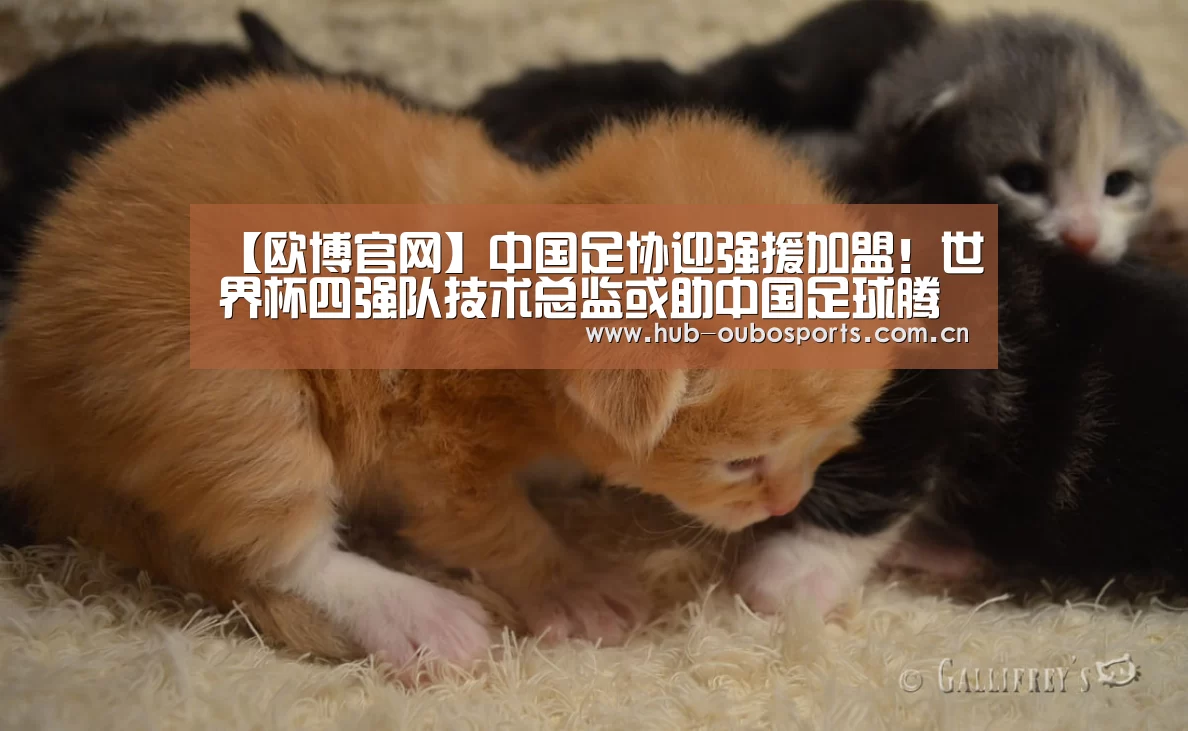 【欧博官网】中国足协迎强援加盟!世界杯四强队技术总监或助中国足球腾飞(图3) 欧博登入