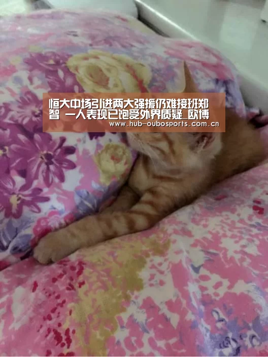 恒大中场引进两大强援仍难接班郑智 一人表现已饱受外界质疑_欧博官网(图2) 欧博登入