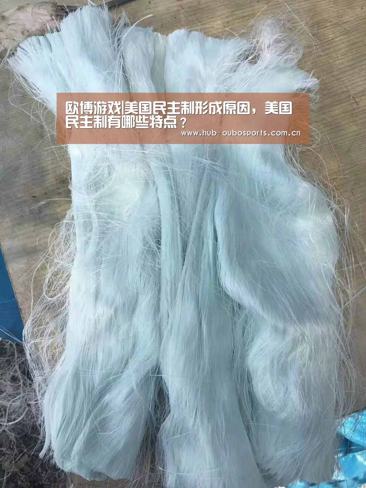 欧博游戏|美国民主制形成原因,美国民主制有哪些特点?(图1) 欧博登入