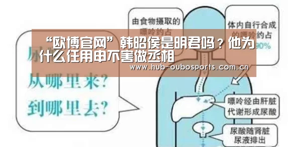 “欧博官网”韩昭侯是明君吗?他为什么任用申不害做丞相(图1) 欧博游戏