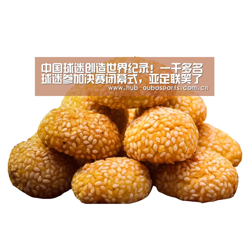 net欧博官网