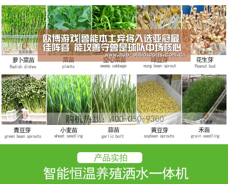 欧博游戏|鲁能本土弃将入选亚冠最佳阵容 能攻善守曾是球队中场核心球员(图4) 欧博游戏